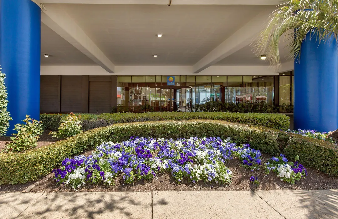 Coastal Hotel & Suites Virginia Beach - Oceanfront-1